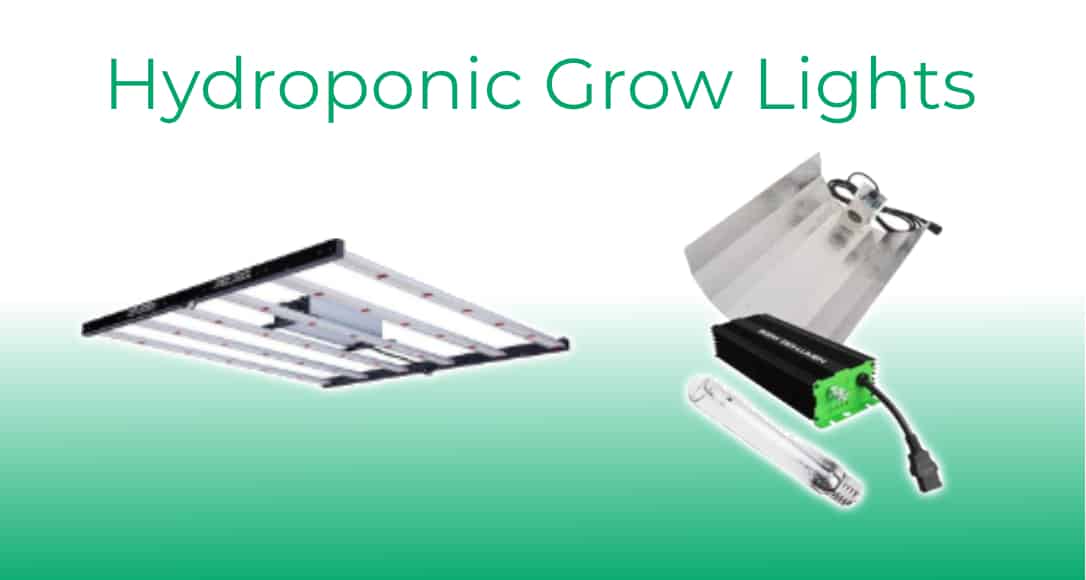 Hydroponic Grow Lights