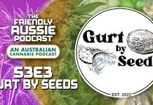 Gurt by Seeds