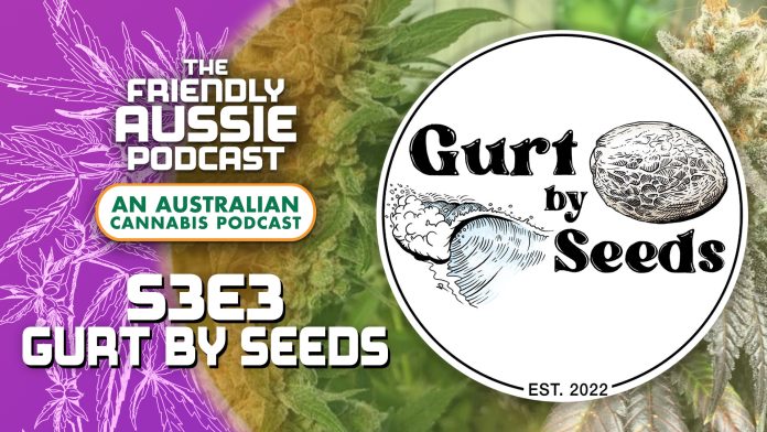 Gurt by Seeds